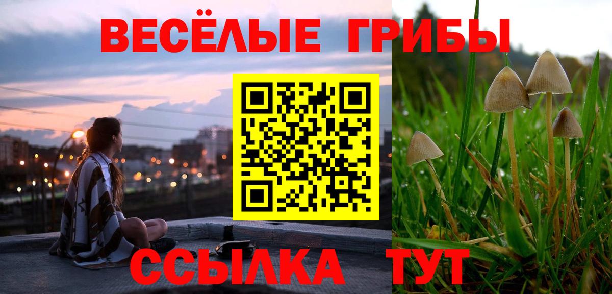 Елабуга  Псилоцибиновые грибы мицелий  Вход с VPN 