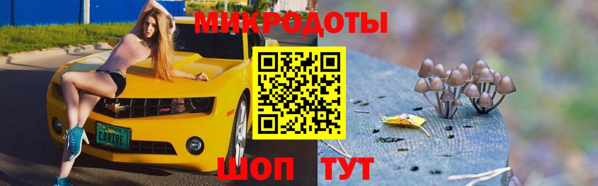 Псилоцибиновые грибы Cubensis Елабуга